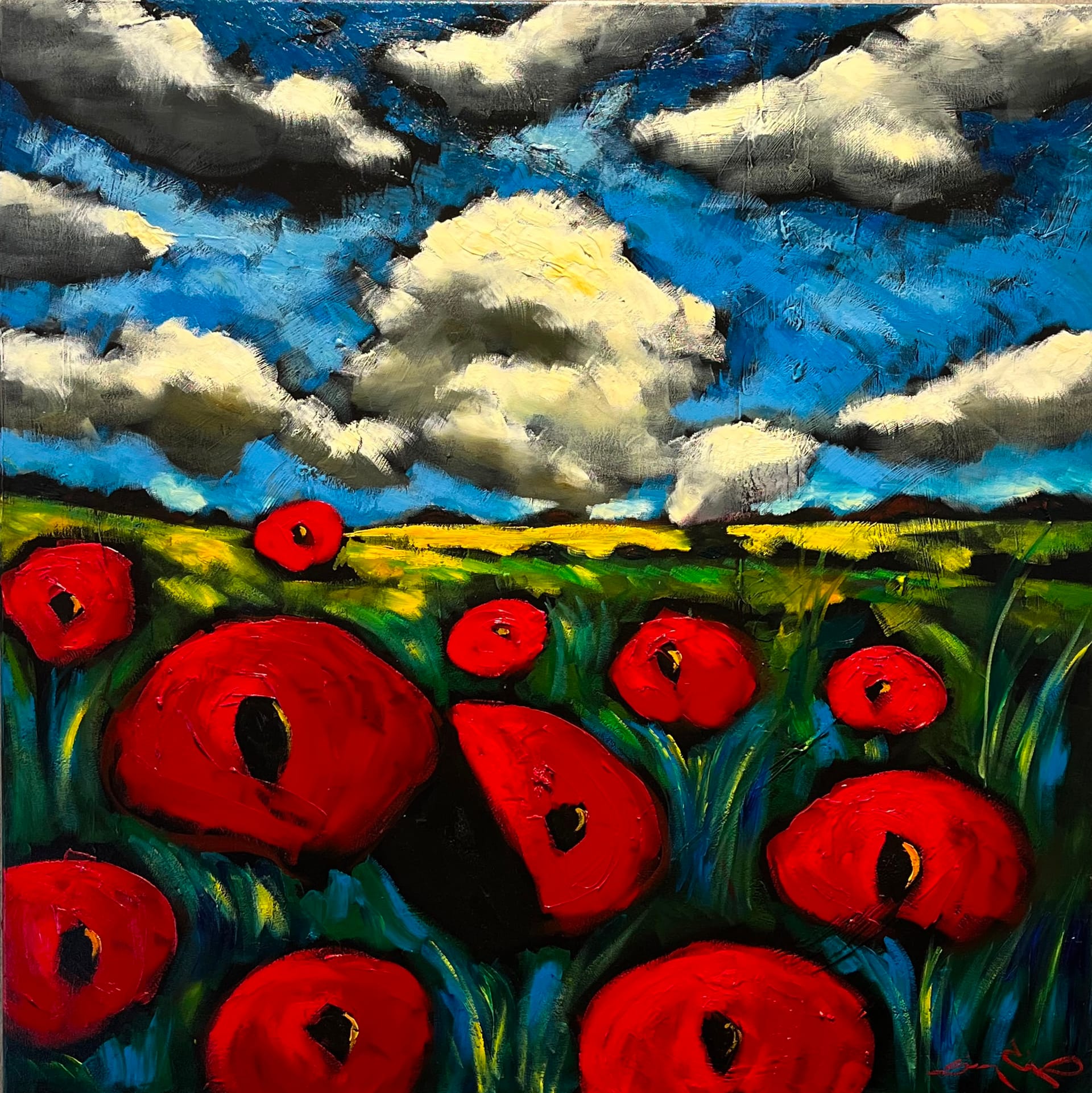 Poppies