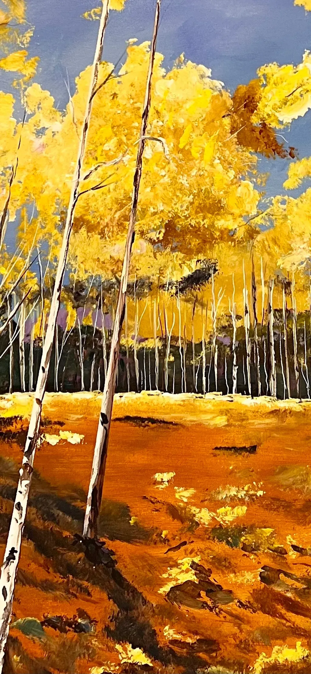 Aspen Sunrise