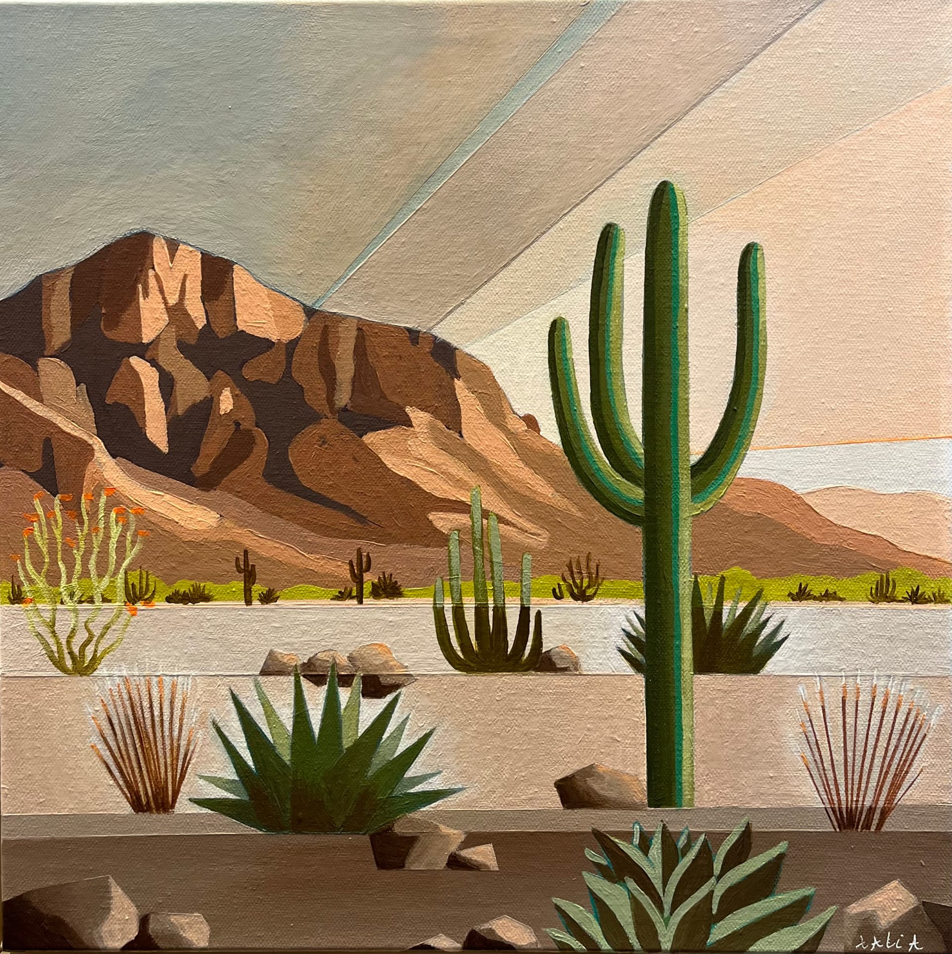 Sonoran Skies