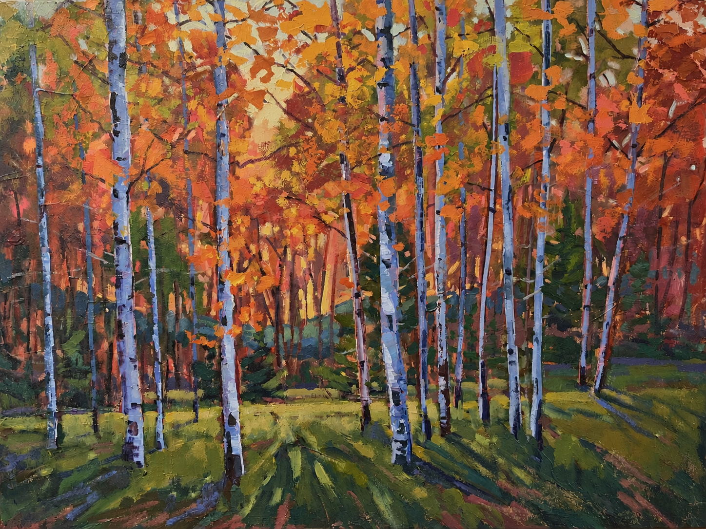 Autunm Aspen Grove in Sunglight